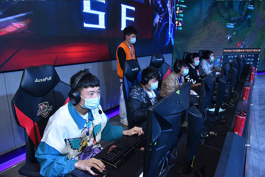 样经验丰富 样经验丰富