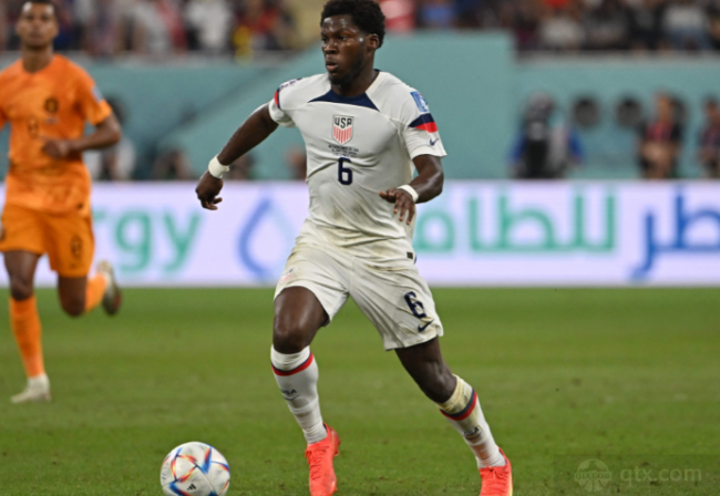 许多主要体 许多主要体