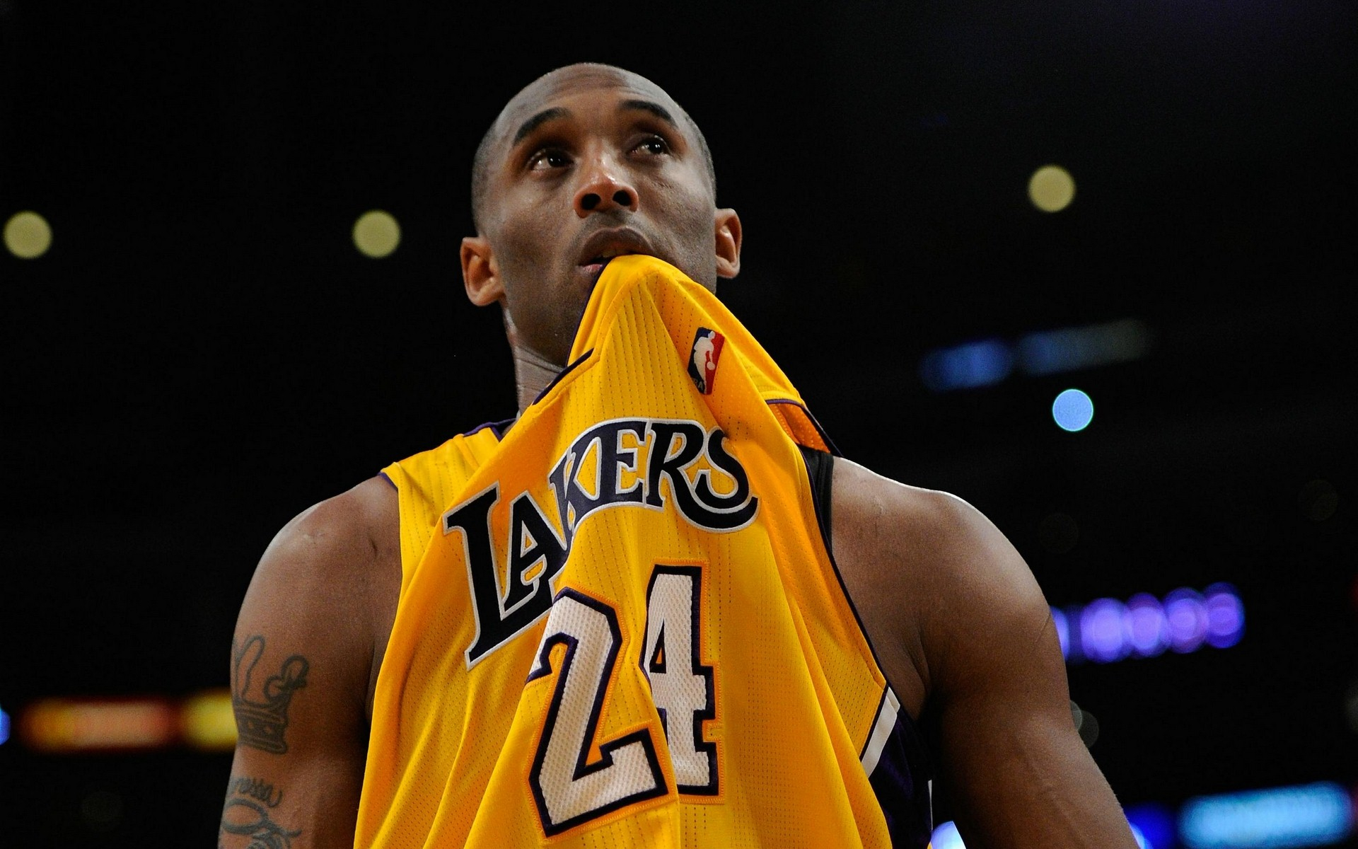 成拉开与收 成拉开与收